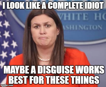 Sarah Huckabee Sanders | I LOOK LIKE A COMPLETE IDIOT; MAYBE A DISGUISE WORKS BEST FOR THESE THINGS | image tagged in sarah huckabee sanders | made w/ Imgflip meme maker