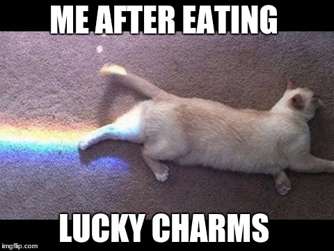 Lucky Charms | ME AFTER EATING; LUCKY CHARMS | image tagged in cats smiling | made w/ Imgflip meme maker