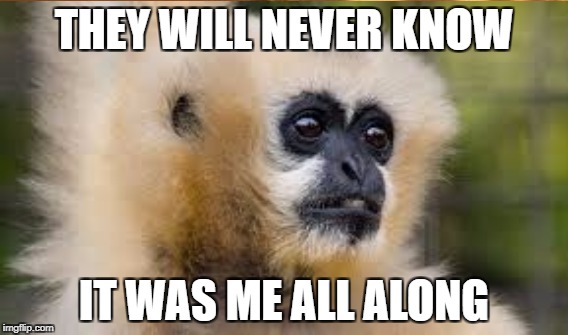 THEY WILL NEVER KNOW; IT WAS ME ALL ALONG | made w/ Imgflip meme maker