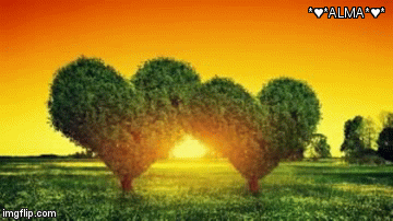 Sembrador | *♥*ALMA*♥* | image tagged in gifs | made w/ Imgflip video-to-gif maker