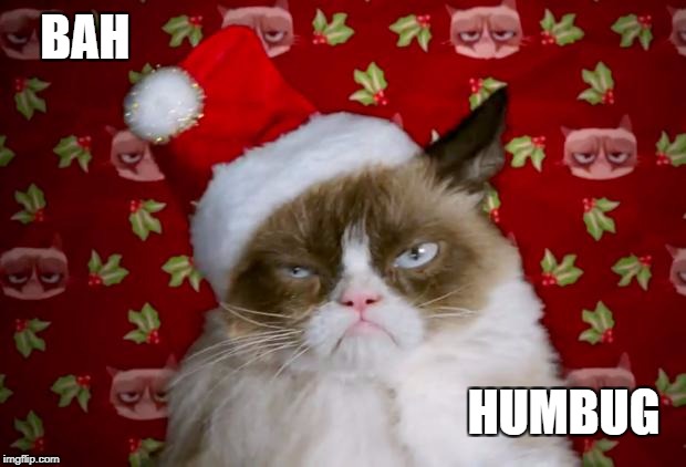 Grumpy Santa Cat | BAH; HUMBUG | image tagged in grumpy santa cat | made w/ Imgflip meme maker