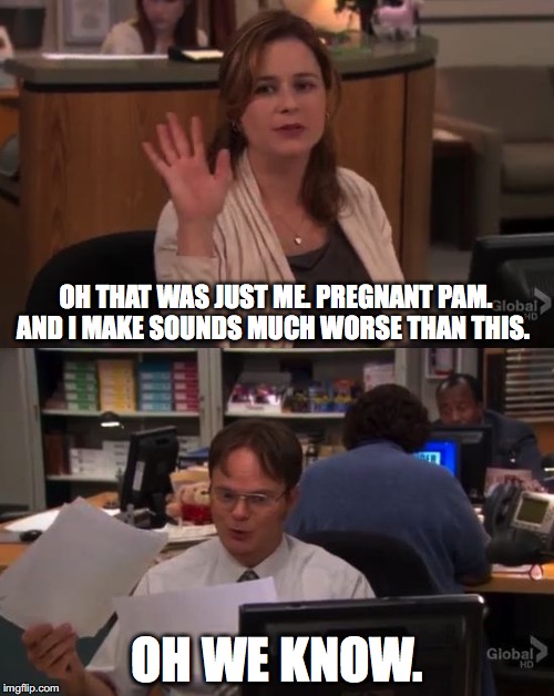 The Office - Dwight Pam Worse Sounds | OH THAT WAS JUST ME. PREGNANT PAM. AND I MAKE SOUNDS MUCH WORSE THAN THIS. OH WE KNOW. | image tagged in the office - dwight pam worse sounds | made w/ Imgflip meme maker