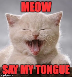 MEOW SAY MY TONGUE | made w/ Imgflip meme maker