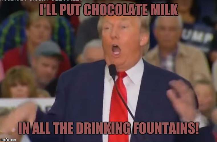 Political "Trump Card" | I'LL PUT CHOCOLATE MILK; IN ALL THE DRINKING FOUNTAINS! | image tagged in political trump card | made w/ Imgflip meme maker