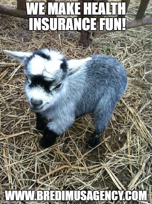 Baby goat | WE MAKE HEALTH INSURANCE FUN! WWW.BREDIMUSAGENCY.COM | image tagged in baby goat | made w/ Imgflip meme maker