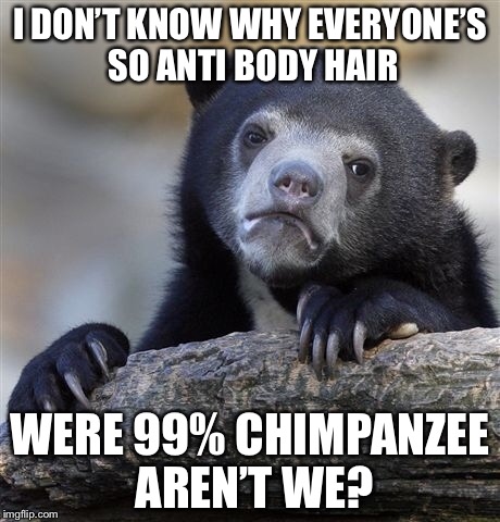 Confession Bear Meme | I DON’T KNOW WHY EVERYONE’S SO ANTI BODY HAIR WERE 99% CHIMPANZEE AREN’T WE? | image tagged in memes,confession bear | made w/ Imgflip meme maker