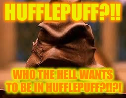 Harry Potter Sorting Hat | HUFFLEPUFF?!! WHO THE HELL WANTS TO BE IN HUFFLEPUFF?!!?! | image tagged in harry potter sorting hat | made w/ Imgflip meme maker