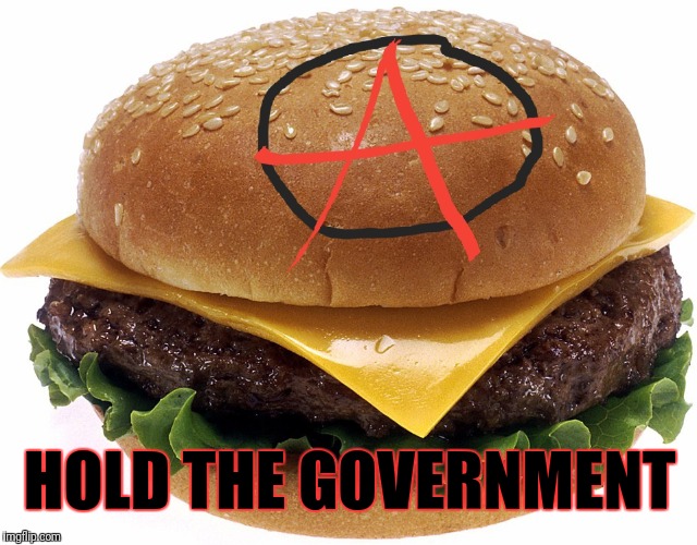 Vandals  | HOLD THE GOVERNMENT | image tagged in the vandals,punk | made w/ Imgflip meme maker