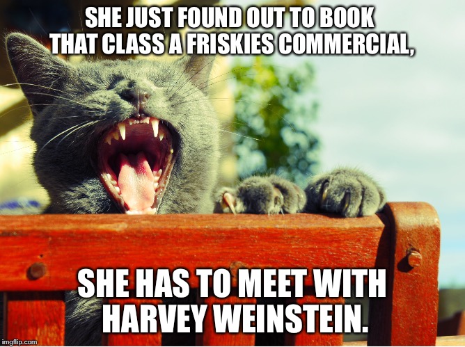 Screaming Kitty | SHE JUST FOUND OUT TO BOOK THAT CLASS A FRISKIES COMMERCIAL, SHE HAS TO MEET WITH HARVEY WEINSTEIN. | image tagged in cat,scream,memes | made w/ Imgflip meme maker