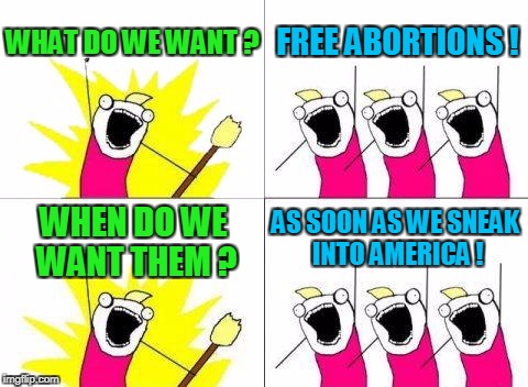 There goes your anchor baby | WHAT DO WE WANT ? FREE ABORTIONS ! AS SOON AS WE SNEAK INTO AMERICA ! WHEN DO WE WANT THEM ? | image tagged in memes,what do we want,illegal immigration,abortion | made w/ Imgflip meme maker