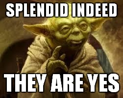 yoda | SPLENDID INDEED; THEY ARE YES | image tagged in yoda | made w/ Imgflip meme maker