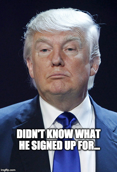 Dense Donald
 | DIDN'T KNOW WHAT HE SIGNED UP FOR... | image tagged in donald trump,dense | made w/ Imgflip meme maker