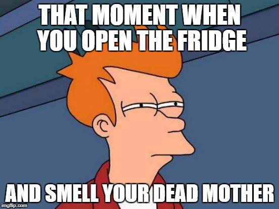 Futurama Fry | THAT MOMENT WHEN YOU OPEN THE FRIDGE; AND SMELL YOUR DEAD MOTHER | image tagged in memes,futurama fry | made w/ Imgflip meme maker