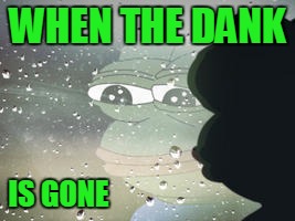 Introspective Pepe | WHEN THE DANK; IS GONE | image tagged in introspective pepe | made w/ Imgflip meme maker