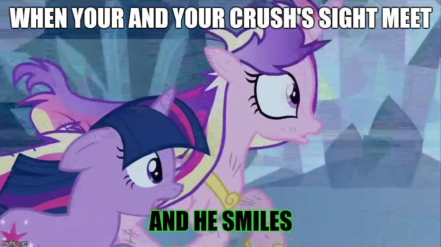 shocked ponies | WHEN YOUR AND YOUR CRUSH'S SIGHT MEET; AND HE SMILES | image tagged in shocked ponies | made w/ Imgflip meme maker