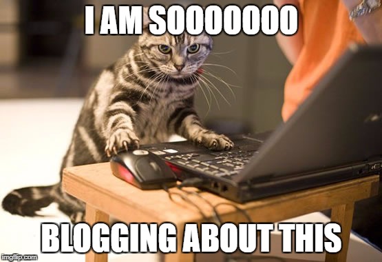 cat computer | I AM SOOOOOOO; BLOGGING ABOUT THIS | image tagged in cat computer | made w/ Imgflip meme maker