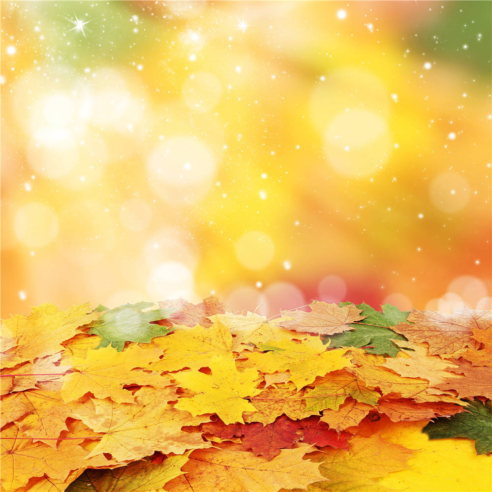 Bright autumn leaves Blank Meme Template