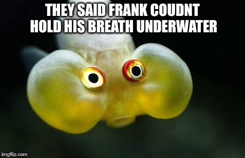 Frank | THEY SAID FRANK COUDNT HOLD HIS BREATH UNDERWATER | image tagged in memes,fish,lol so funny,cliche | made w/ Imgflip meme maker