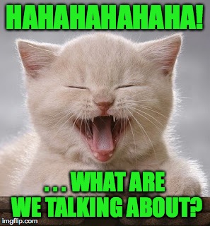 HAHAHAHAHAHA! . . . WHAT ARE WE TALKING ABOUT? | made w/ Imgflip meme maker