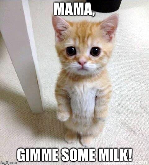 Gimme some milk! | MAMA, GIMME SOME MILK! | image tagged in memes,cute cat | made w/ Imgflip meme maker