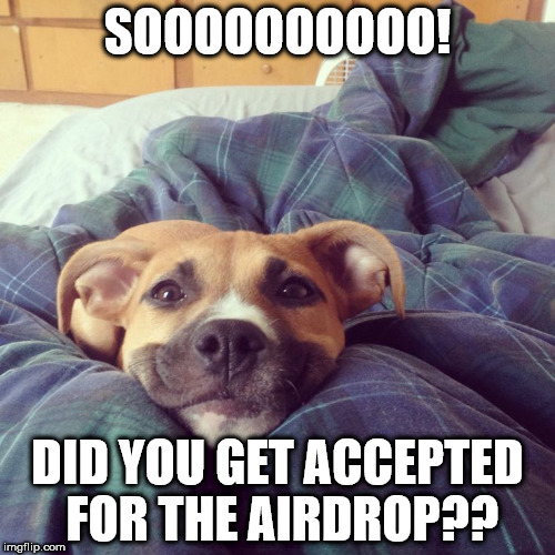 SOOOOOOOOOO! DID YOU GET ACCEPTED FOR THE AIRDROP?? | made w/ Imgflip meme maker