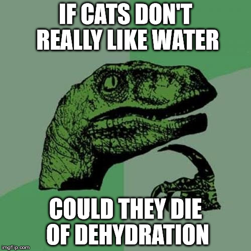 Cat Dehydration | IF CATS DON'T REALLY LIKE WATER; COULD THEY DIE OF DEHYDRATION | image tagged in memes,philosoraptor,dehydration,cats | made w/ Imgflip meme maker