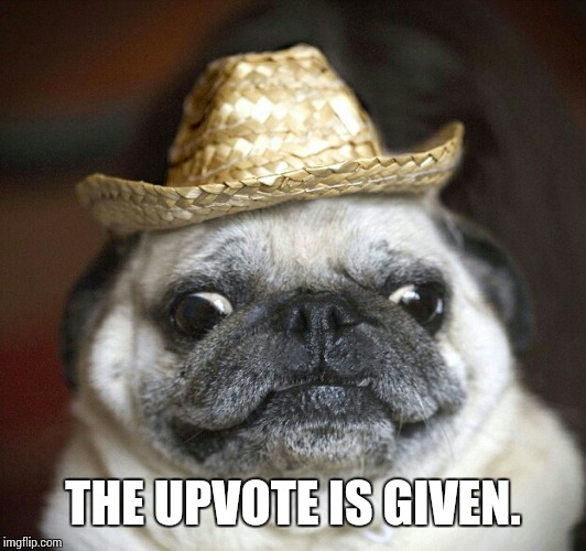 pug life | THE UPVOTE IS GIVEN. | image tagged in pug life | made w/ Imgflip meme maker