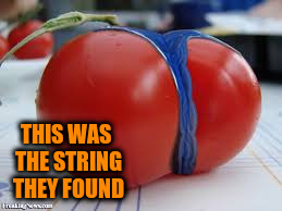 THIS WAS THE STRING THEY FOUND | made w/ Imgflip meme maker