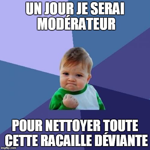 Success Kid Meme | UN JOUR JE SERAI MODÉRATEUR; POUR NETTOYER TOUTE CETTE RACAILLE DÉVIANTE | image tagged in memes,success kid | made w/ Imgflip meme maker