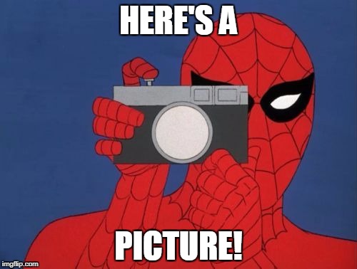 Spiderman Taking A Picture | HERE'S A; PICTURE! | image tagged in spiderman taking a picture | made w/ Imgflip meme maker