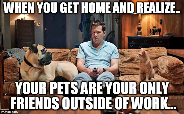 hearing voices after work like | WHEN YOU GET HOME AND REALIZE.. YOUR PETS ARE YOUR ONLY FRIENDS OUTSIDE OF WORK... | image tagged in voices,pets,funny,no friends | made w/ Imgflip meme maker