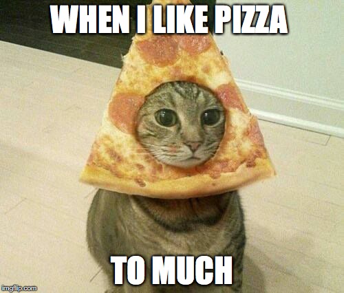 pizza | WHEN I LIKE PIZZA; TO MUCH | image tagged in fuuny | made w/ Imgflip meme maker