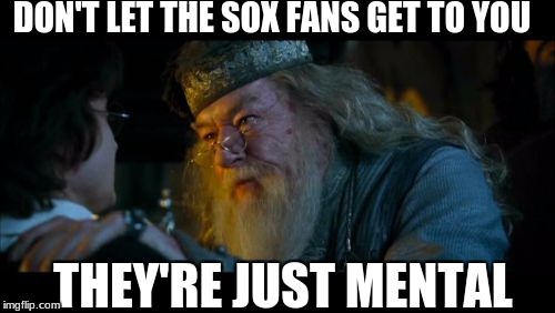 WHY SOX FANS | DON'T LET THE SOX FANS GET TO YOU; THEY'RE JUST MENTAL | image tagged in memes,angry dumbledore,white sox,chicago cubs,mental | made w/ Imgflip meme maker