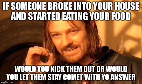 One Does Not Simply Meme | IF SOMEONE BROKE INTO YOUR HOUSE AND STARTED EATING YOUR FOOD; WOULD YOU KICK THEM OUT OR WOULD YOU LET THEM STAY COMET WITH YO ANSWER | image tagged in memes,one does not simply | made w/ Imgflip meme maker