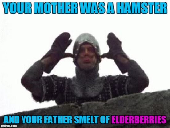 YOUR MOTHER WAS A HAMSTER AND YOUR FATHER SMELT OF ELDERBERRIES ELDERBERRIES | made w/ Imgflip meme maker