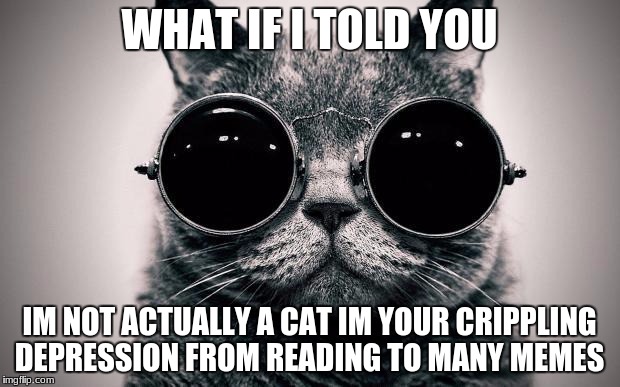 Morpheus Cat | WHAT IF I TOLD YOU; IM NOT ACTUALLY A CAT IM YOUR CRIPPLING DEPRESSION FROM READING TO MANY MEMES | image tagged in morpheus cat | made w/ Imgflip meme maker