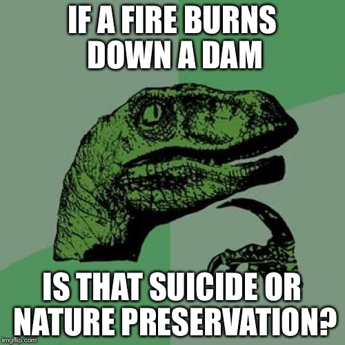 Scucidle fire? Don’t think my meme will get darker then this. | IF A FIRE BURNS DOWN A DAM; IS THAT SUICIDE OR NATURE PRESERVATION? | image tagged in memes,philosoraptor | made w/ Imgflip meme maker