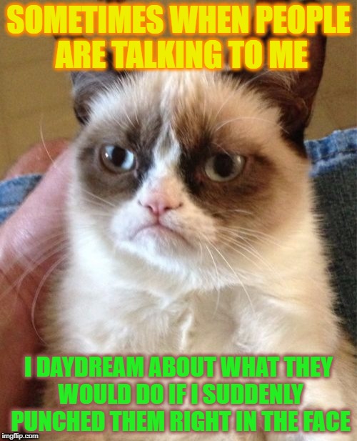 Grumpy Cat | SOMETIMES WHEN PEOPLE ARE TALKING TO ME; I DAYDREAM ABOUT WHAT THEY WOULD DO IF I SUDDENLY PUNCHED THEM RIGHT IN THE FACE | image tagged in memes,grumpy cat | made w/ Imgflip meme maker