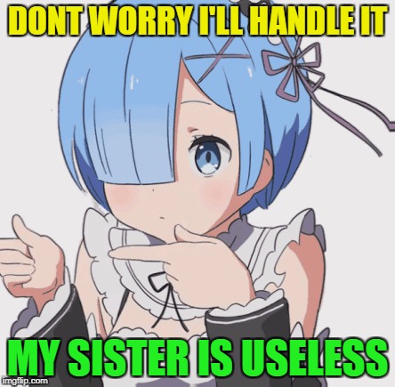 DONT WORRY I'LL HANDLE IT MY SISTER IS USELESS | made w/ Imgflip meme maker