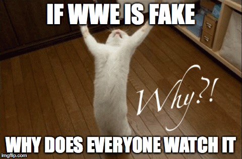 If WWE is fake, Why does everyone watch it? | IF WWE IS FAKE; WHY DOES EVERYONE WATCH IT | image tagged in wwe is fake,why | made w/ Imgflip meme maker