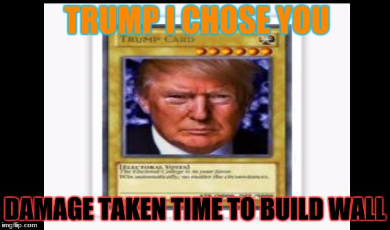 donald trump | TRUMP I CHOSE YOU; DAMAGE TAKEN TIME TO BUILD WALL | image tagged in memes | made w/ Imgflip meme maker