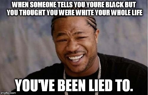 Yo Dawg Heard You Meme | WHEN SOMEONE TELLS YOU YOURE BLACK BUT YOU THOUGHT YOU WERE WHITE YOUR WHOLE LIFE; YOU'VE BEEN LIED TO. | image tagged in memes,yo dawg heard you | made w/ Imgflip meme maker