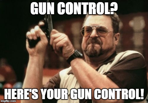 Am I The Only One Around Here | GUN CONTROL? HERE'S YOUR GUN CONTROL! | image tagged in memes,am i the only one around here | made w/ Imgflip meme maker