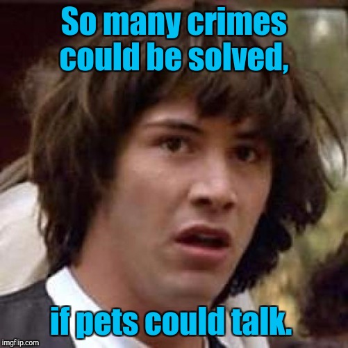Conspiracy Keanu Meme | So many crimes could be solved, if pets could talk. | image tagged in memes,conspiracy keanu | made w/ Imgflip meme maker
