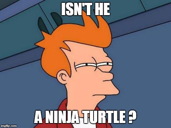 Futurama Fry Meme | ISN'T HE A NINJA TURTLE ? | image tagged in memes,futurama fry | made w/ Imgflip meme maker