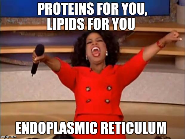Oprah You Get A Meme | PROTEINS FOR YOU, LIPIDS FOR YOU; ENDOPLASMIC RETICULUM | image tagged in memes,oprah you get a | made w/ Imgflip meme maker