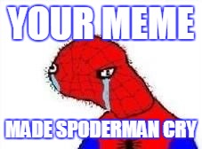YOUR MEME MADE SPODERMAN CRY | made w/ Imgflip meme maker