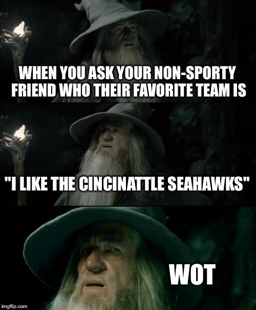 Everyone has that one friend who doesn't understand sports | WHEN YOU ASK YOUR NON-SPORTY FRIEND WHO THEIR FAVORITE TEAM IS; "I LIKE THE CINCINATTLE SEAHAWKS"; WOT | image tagged in memes,confused gandalf | made w/ Imgflip meme maker