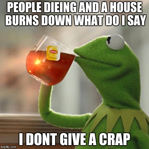 But That's None Of My Business | PEOPLE DIEING AND A HOUSE BURNS DOWN WHAT DO I SAY; I DONT GIVE A CRAP | image tagged in memes,but thats none of my business,kermit the frog | made w/ Imgflip meme maker