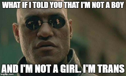 Matrix Morpheus | WHAT IF I TOLD YOU THAT I'M NOT A BOY; AND I'M NOT A GIRL. I'M TRANS | image tagged in memes,matrix morpheus | made w/ Imgflip meme maker